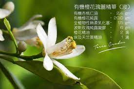 配方分享 diy 有機橙花瑰麗精華 液 in 2021 plants flowers dandelion
