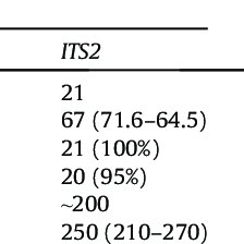 Image result for Equilabium petiolare