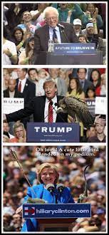 Birds And Politics Politics Political Memes