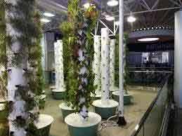 Start your aeroponics diy project and start today. Aeroponic Tower Gardens 7 Reasons To Have One