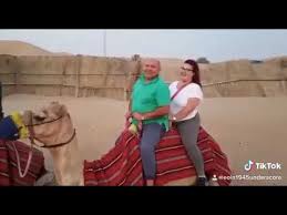 A bird in hand is worth two in a bush. Camel Ride Gone Wrong Youtube