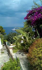 Panarea Panarea Sicilia Aeolian Islands Beautiful Islands Sicily