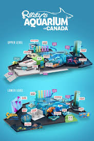 Go To Ripleys Aquarium In Toronto Canada Travel Toronto Canada Travel Ripley Aquarium