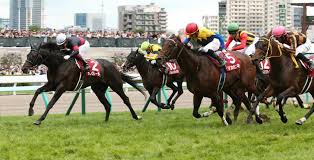 札幌記念2021人気とオッズです こんにちわ。 札幌記念2021の先行予想+出走馬予定馬分析+データ分析（消去法）です。 ここでは過去5年分のデータでこのレースの傾向を紐解いて行きます。 ・1番人気の信頼性は普通 ・5番人気以下は4/15 ・上位人気馬が強い. Mw Bmd4dcecdqm