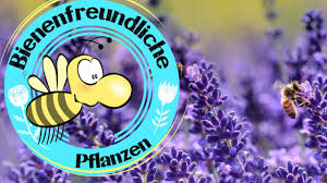 Auch auf dem kleinsten balkon lässt sich eine blütenpracht schaffen, die bienen, hummeln und schmetterlinge anzieht. Bienenfreundliche Pflanzen Stauden Fur Bienen In Den Garten Locken Honigbiene Im Garten Youtube