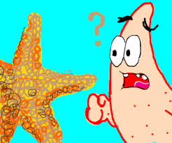 ***download your free copy of 'how to draw a horse' here: Starfish Drawception