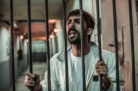 Sıfır Bir Adana 4 Sezon 1 Bölüm Izle ücretsiz Sifir 1 5 Sezon 4 Bolum Izle Sifir Bir Son Bolum Izle Son Dakika Guncel Haberler