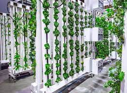 A wide variety of vertical led grow lights options are available to you, such as working time (hours), lighting solutions service, and warranty(year). 4 Reasons Tell You Why Horti Tube Led Grow Light Suits Hydroponic Vertical Tower Atop Lighting