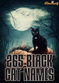 Finding good names for black cats can be a challenge, so we decided to compile this list to help you find the perfect awesome and cute black kitten names. Best 265 Black Cat Names For Your Mysterious Friend