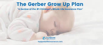 2019 Gerber Grow Up Plan Childrens Whole Life Insurance Review