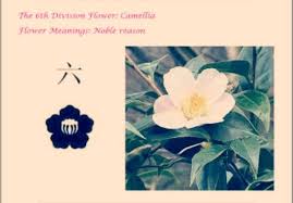 We did not find results for: Bleach S Gotei 13 Flower Power Anime Amino Anime Flower Power Bleach