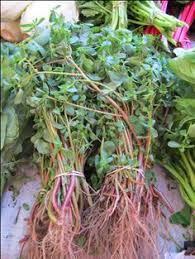 Add the payala leaves, onion, chilli, tamarind and turmeric. Purslane Benefits