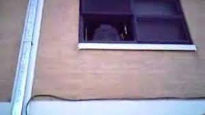 # cbs # broke # jaime camil # broke cbs # throw out window. Throwing A Tv Out Of The Window Youtube