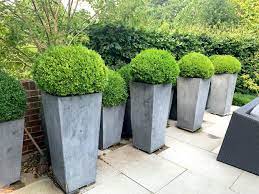 Find your large outdoor planters and the best furniture and accessories for every room in your home. 4 X Large Outdoor Plants And Planters Used The Used Kitchen Company