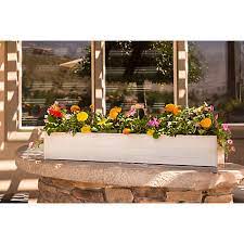Maybe you would like to learn more about one of these? New Age Garden Window Box 48 In Epwb103 R48 At Tractor Supply Co