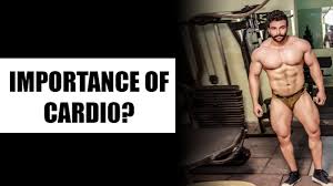 Read writing from amit panchal on medium. Importance Of Cardio Panghal Fitness Amit Panghal Youtube