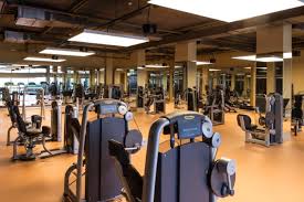 Spor salonu malzemeleri sayesin de spor salonlarında hizmet verebilir müşterilerinizin yararlanmasını sağlayabilirsiniz. Fitness Spa Yacht Club Didim
