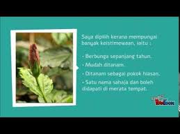 Borang soal selidik / temu bual tugasan geografi pt3 2017 via www.bumigemilang.com. Bunga Kebangsaan Sejarah Tahun 5 Youtube
