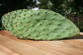 You can also jump off the ledges above the trees and use the ground pound move and the fruit falls off the trees. Cactus Leaves