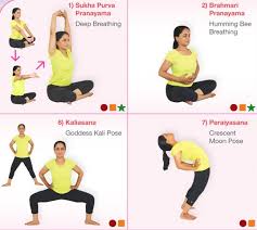 prenatal yoga wall chart andiappan yoga