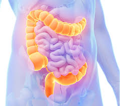 From not chewing enough to high motility, here's why undigested food shows up in stool. Undigested Food In Stool Health Remedies Joyful Belly School Of Ayurveda