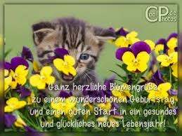 Coolphotos De Grusskarten Geburtstagskarten Fur Katzenliebhaber
