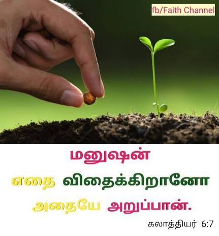FAITH - #விதைத்தல்... ****************** நாம் ஒருவருக்கு நன்மை செய்கிறோம்  என்றால் அதை பெற்றுக்கொண்ட மனிதன் ஒருவேளை மறந்து போகலாம்... ஆனால் நிச்சயமாக  ...