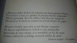 Pe garduri batrane, pe stresini de lemn, si frunzele cad poezia in gradina da titlul volumului publicat de. StÄƒrile Sufletesti Din Poezia In GrÄƒdinÄƒ De Dimitrie Anghel VÄƒ Rog Brainly Ro