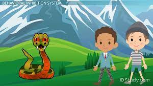 What Is A Behavioral Inhibition System Video Lesson Transcript Study Com