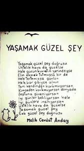 Etrafındaki herkesten sürekli azar işiten, kimsenin ciddiye almadığı bir adam, yaşadığı şanssız bir olayın ardından içinde bulunduğu hayatı ve dayatılan. Yasamak Guzel Sey Herecup