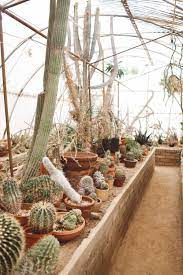 A number of people find that the dishes have reasonable prices. The Best Palm Springs Cactus Garden Whimsy Soul