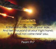 Suffering: How Does God Respond To My Pain? - Grace On Parade