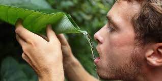 Life-Saving Facts Everyone Should Know