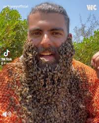 The Man Who Wears a Beard of Bees! 🧔🏽‍♀️🐝🐝