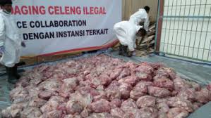 Dendeng babi hutan yang didistribusikan oleh nangkring food dan dipromosikan oleh hardiyan permana memiliki kualitas terbaik. 4 6 Ton Daging Babi Mengandung Cacing Pita Dimusnahkan Di Banten Halaman 3