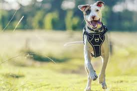 Anoop Alex Photography