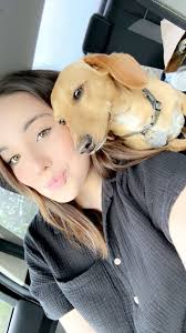 Still missing!!! Please anyone that has seen him recently, I'm begging for  any information. I'm extremely worried with the weather recently. He's a  very sweet boy. I need him to come home...