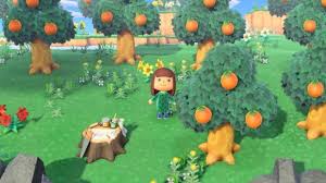 あつ森 2024年版】フルーツ(果物)の集め方と種類【あつまれどうぶつの森】 - アルテマ