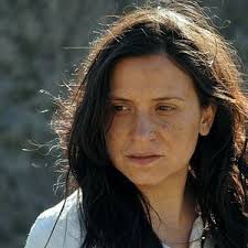 Violeta se fue a los cielos