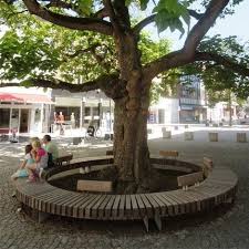 Hardwood Circular Bench Encircling Tree Urban Landscape Design Landscape Design Parterre Garden
