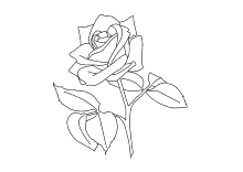 Malvorlagen Rosen Und Rosenknospen Zum Ausmalen