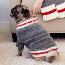 Like much of the world, we spent the past year working remotely. Bernat Knit Work Sock Dog Coat S Dog Sweater Pattern Dog Coat Pattern Dog Jumper Knitting Pattern