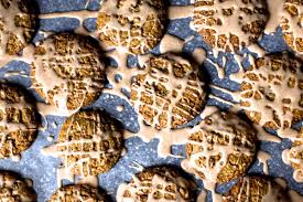 Iced Oatmeal Cookies Iced Oatmeal Cookies Oatmeal Cookies Oatmeal Cookie Recipes