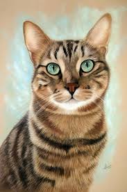 How to draw an easy dog. Pin By Elisa Bussone On My Fav Cat Painting Cat Portraits Animal Paintings