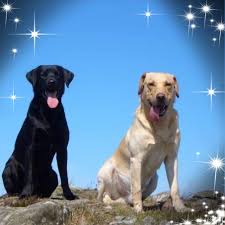 Profile for Myra Newton