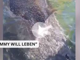 Karin Walter-mommert : la rencontre qui retient son souffle — image 5