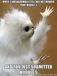 The Birth Of Monkey Cat Meme Cat Memes Cat Quotes Funny Funny Cats