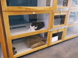 Now featuring royal guest rooms! New Luxury Pet Care Center Replaces Kennels At Disney World Video Photos Attractions Magazine