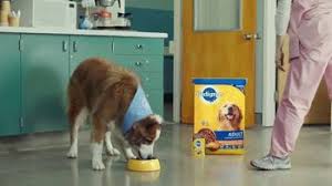 If you're in the middle of a puppy purchase agreement, you should know that the moment of handover is recorded in the handover act with the accompanying documents. Pedigree Tv Commercial Therapy Ispot Tv