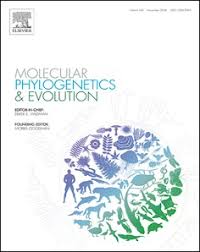 Image result for Viscum bagshawei